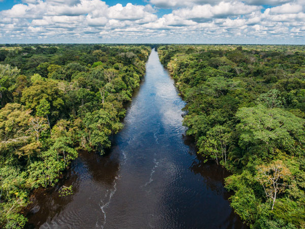 an aerial view of the Amazon River landscape