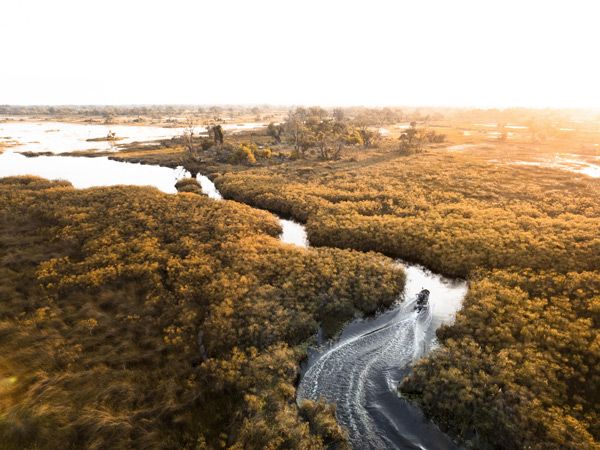 an aerial view of the Okavango Delta wetland
