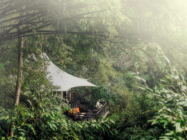 one of the tents nestled within a bamboo jungle at the Four Seasons Tented Camp
