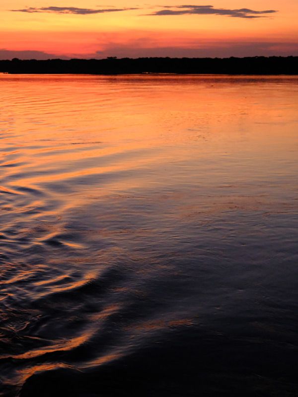 sunset in the Amazon