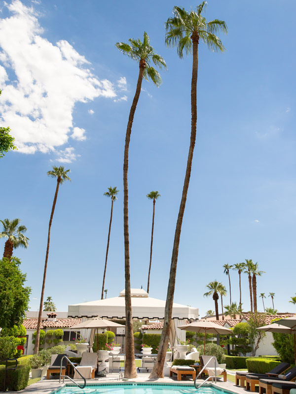 the Avalon Hotel’s pool against a backdrop of towering palm trees