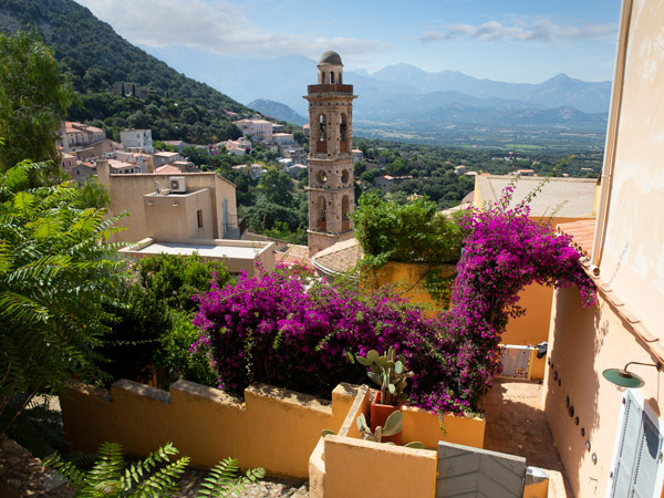flowers in the garden in Lumio town in Corsica 