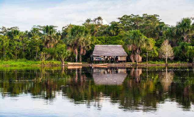 a thatched house by the Amazon River