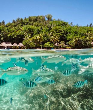 The luxe island paradise that guests return to again and again