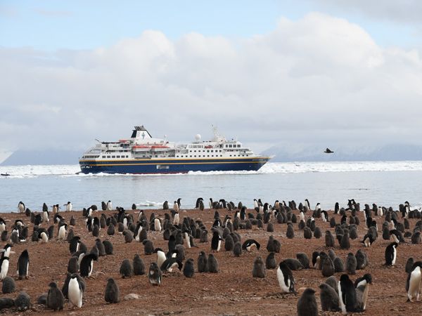 the Heritage Adventurer arriving at the Adelie Penguin colony in Antarctica