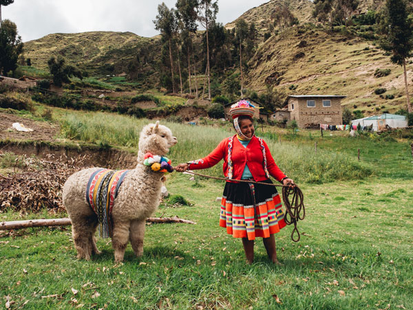 an Indigenous person standing beside an alpaca in Peru