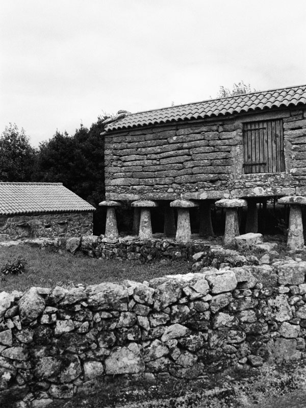 a black and white photo of stilted granaries or Hórreos