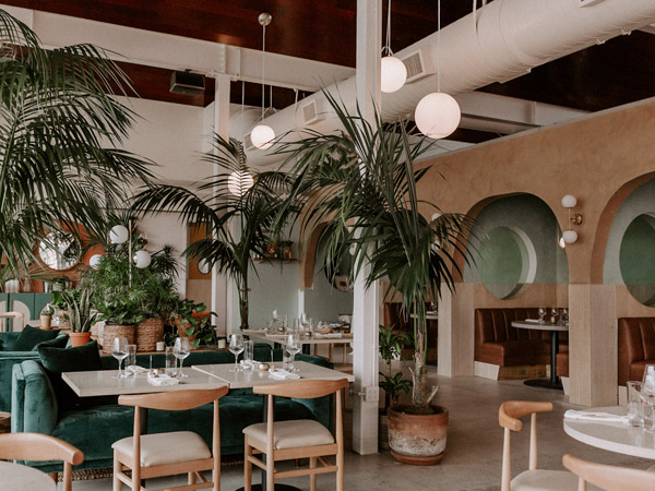 the tropical interior at Boozehounds, Palm Springs