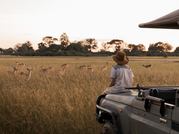 a man wearing a hat and sitting at the back of the vehicle while looking at the wildlife in Vumbura Plains