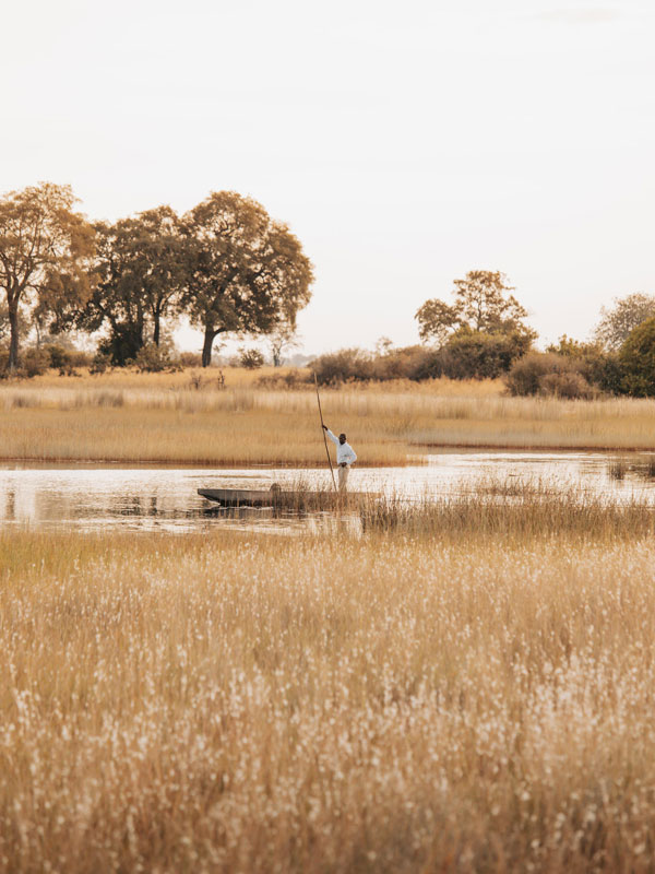 a man navigating a mokoro through the marsh