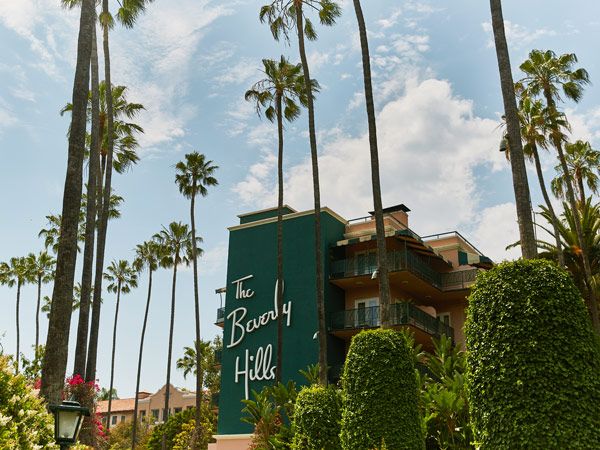 tall palm trees in front of the Beverly Hills Hotel, Los Angeles