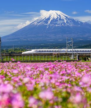 8 experiences that keep drawing us back to Japan