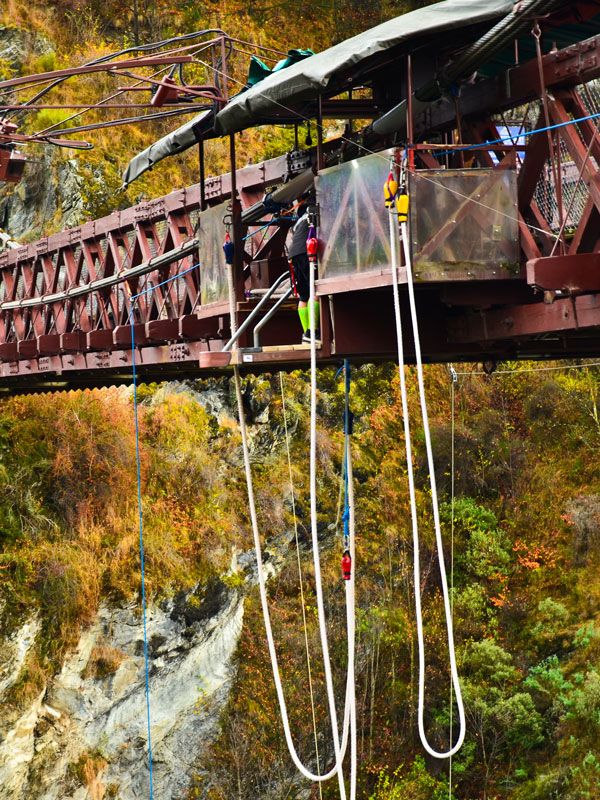 commercial bungy jumping in Queensland