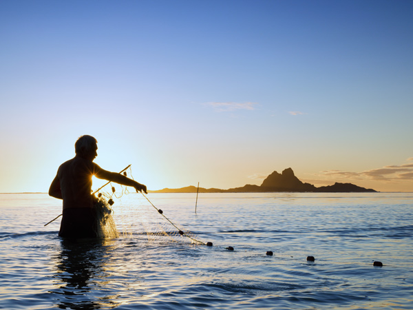 Man harvesting pearls on Taha’a Tahiti