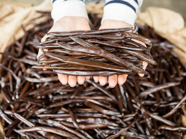 Woman holding vanilla on Taha’a in Tahiti