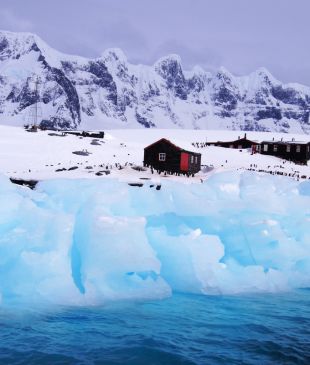 Arctic to Antarctica: 5 breathtaking cultural experiences