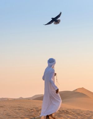 Falconry remains a traditional Emirati sport.
