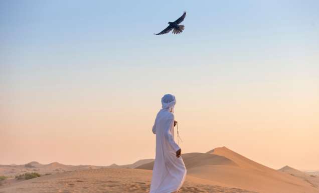 Falconry remains a traditional Emirati sport.