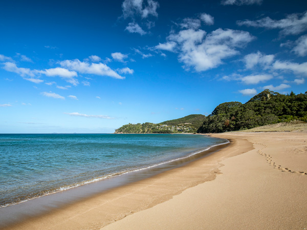 Hot Water Beach on the Coromandel Peninsula, New Zealand