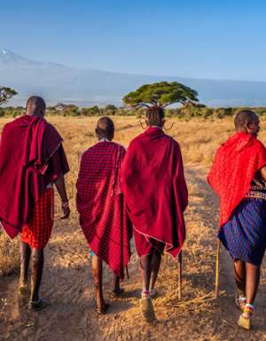 the Maasai warriors in Africa