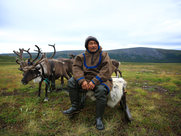 one of the Nenets of Siberia with reindeers