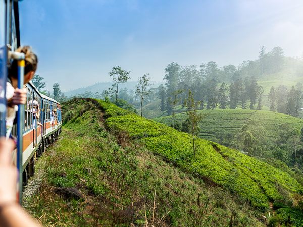 a scenic train ride from Ella to Kandy