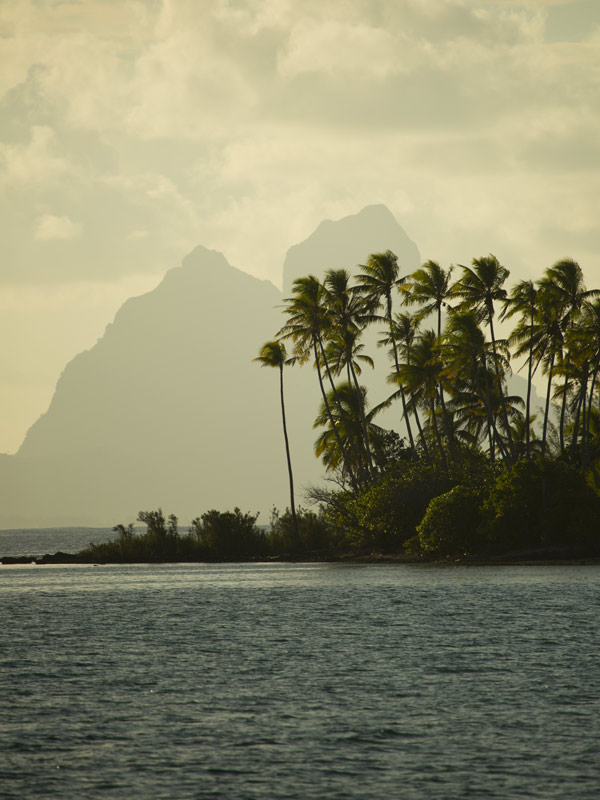 Mountain on Taha’a in Tahiti with palm trees in forefront