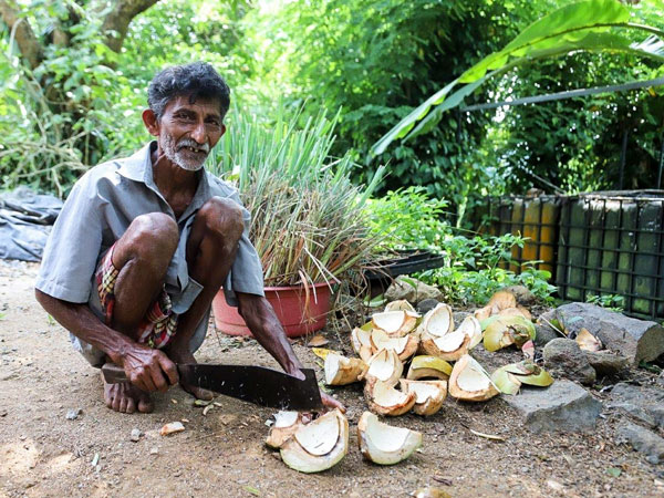 a man with coconuts