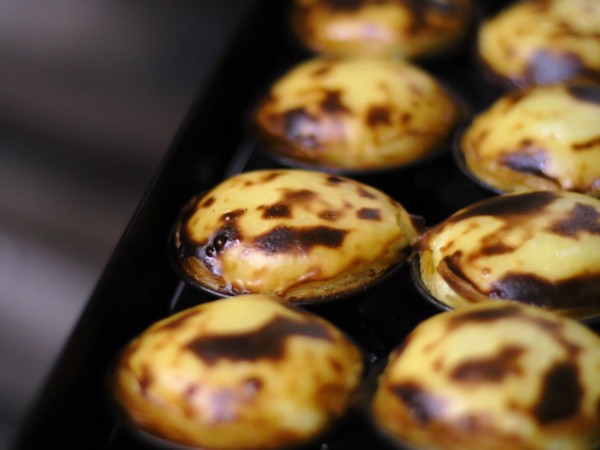 the egg tarts at Pasteis de Belem