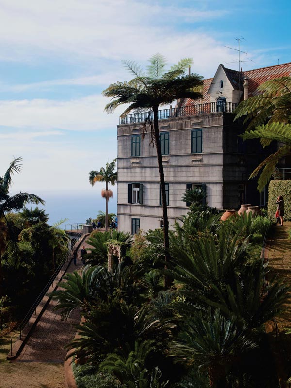 Madeira gardens