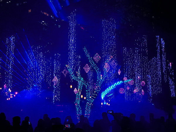 Ayala Triangle Gardens Festival of Lights