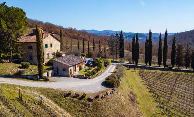 Le Miccine vineyards