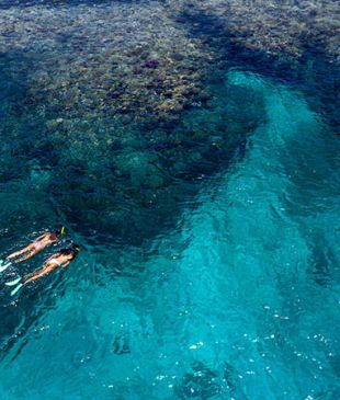<p><i>4 holidays in one</i>: Why <strong>Fiji</strong> should be your next getaway</p>