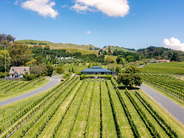 the scenic vineyard landscape surrounding Black Barn Bistro, Hawke's Bay