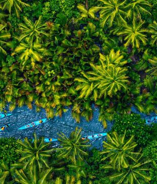 <p><i>5 reasons</i> the <strong>Philippines</strong> should be your 2026 island holiday</p>