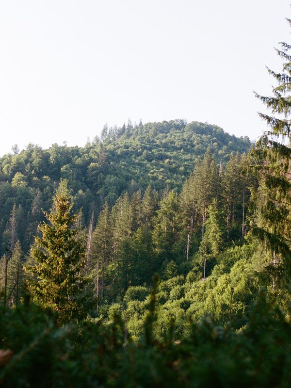 the scenic landscape of Carpathian Mountains