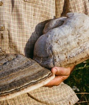 Transylvania’s last mushroom hat artisans fight to save their art