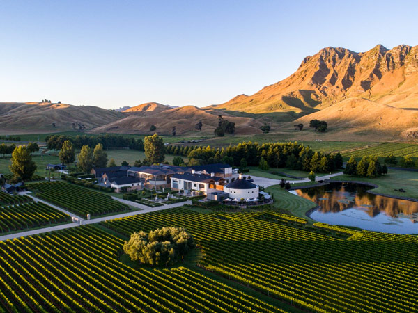 the Craggy Range Winery at the base of Te Mata Peak, Hawke's Bay
