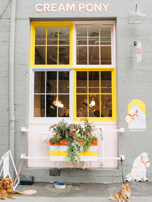 the Cream Pony exterior