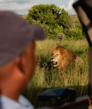 A return to the birthplace of The Lion King 30 years later
