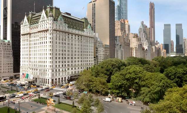 The Plaza view from Central Park