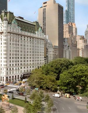 The Plaza view from Central Park
