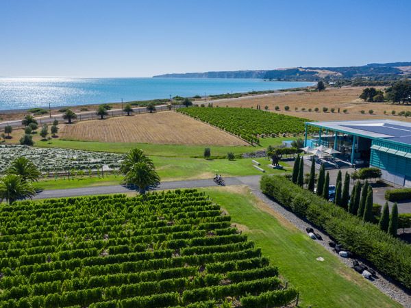 the scenic bike trails along the Elephant Hill, Hawke's Bay