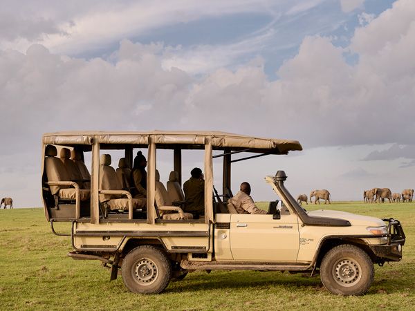 elephants as seen during the Masai Mara safari