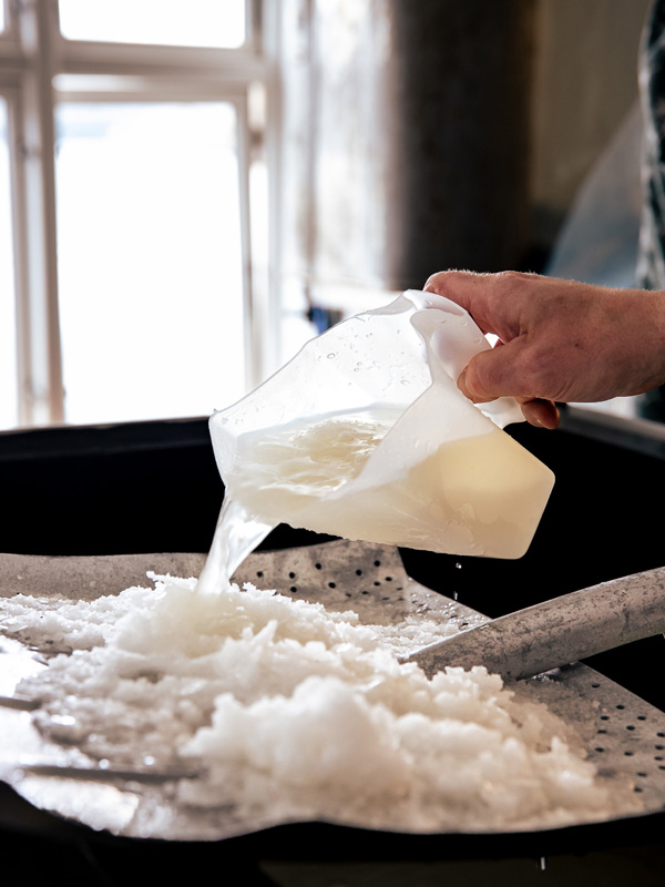 sifting for salt in Saltstraumen