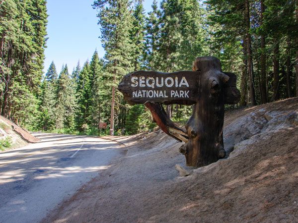 the Sequoia National Park signage