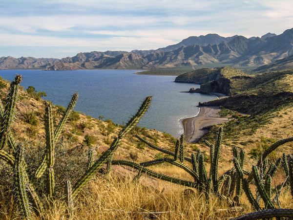 UnCruise Adventures Baja California tour