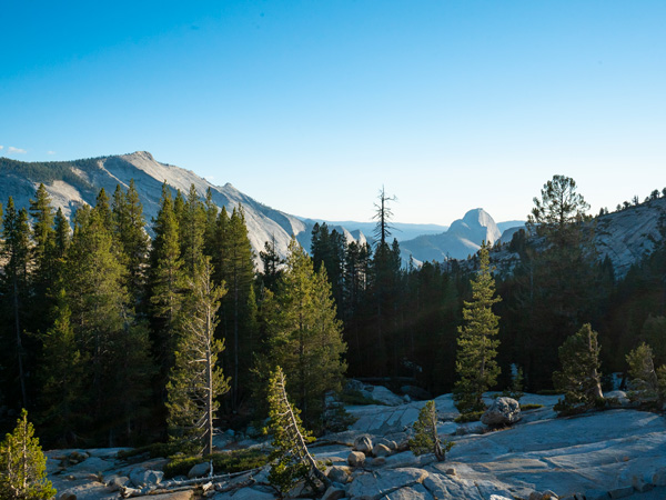 overlooking Yosemite’s jagged peaks