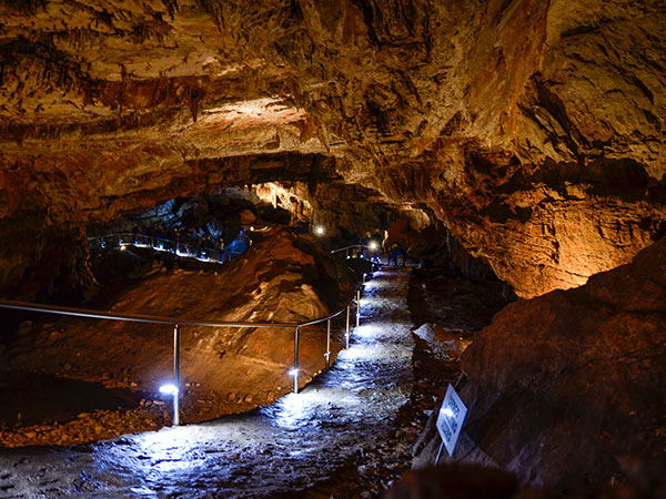 Vjetrenica Cave