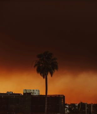 LA Wildfires: Should you cancel your Los Angeles holiday?